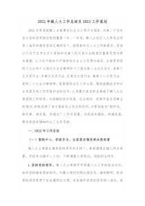 20XX年镇人大工作总结及20XX工作谋划