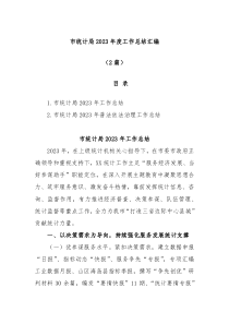 2篇市统计局20XX年度工作总结汇编