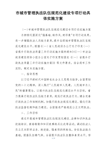 市城市管理执法队伍规范化建设专项行动具体实施方案