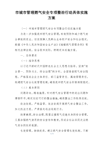 市城市管理燃气安全专项整治行动具体实施方案