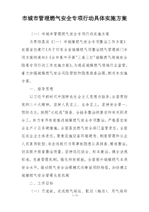 市城市管理燃气安全专项行动具体实施方案