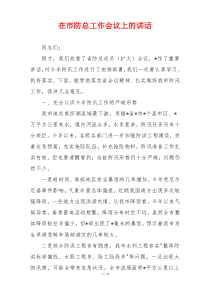 在市防总工作会议上的讲话