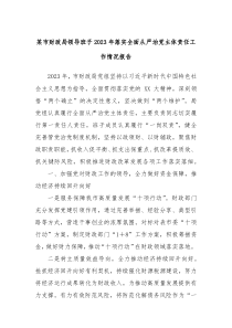 某市财政局领导班子20XX年落实全面从严治党主体责任工作情况报告