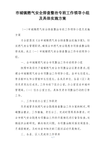 市城镇燃气安全排查整治专班工作领导小组及具体实施方案