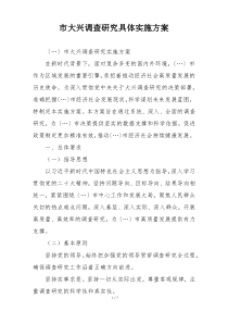 市大兴调查研究具体实施方案