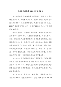 区发展和改革局2024年度工作计划