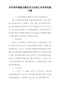 市市容环境综合整治百日会战工作具体实施方案