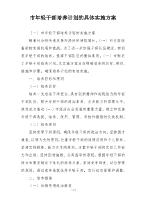 市年轻干部培养计划的具体实施方案