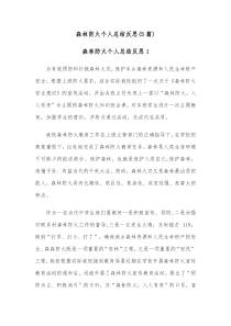 5篇森林防火个人总结反思