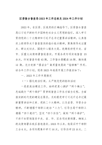 区委督办督查局2023年工作总结及2024年工作计划