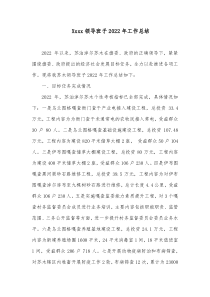xxxx领导班子20XX年工作总结