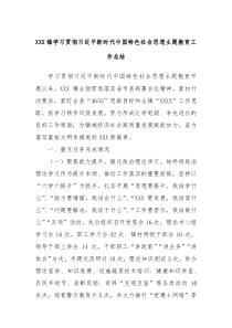 XXX镇学习贯彻习近平新时代中国特色社会思想主题教育工作总结