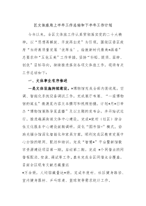 区文体旅局上半年工作总结和下半年工作计划