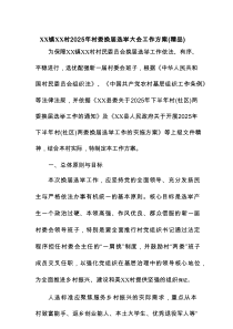 XX镇XX村2025年村委换届选举大会工作方案（精品）