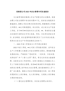 某集团公司20XX年安全管理专项自查报告