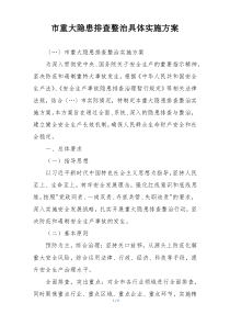 市重大隐患排查整治具体实施方案