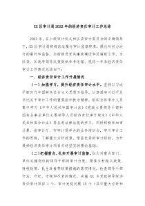 XX区审计局20XX年的经济责任审计工作总结