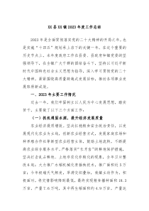 XX县XX镇20XX年度工作总结