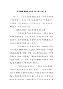 区自然资源和规划分局2024年工作计划