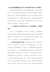 XX县平安校园建设20XX年工作总结和20XX年工作要点