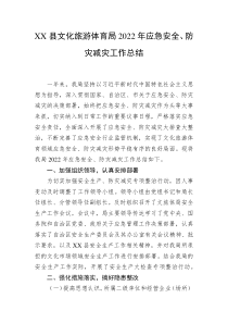 XX县文化旅游体育局20XX年应急安全防灾减灾工作总结