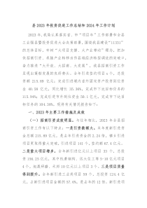县2023年投资促进工作总结和2024年工作计划