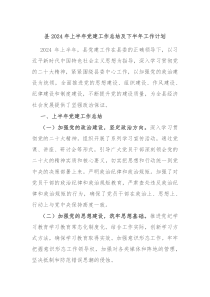 县2024年上半年党建工作总结及下半年工作计划