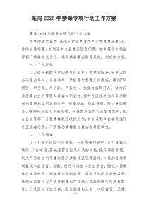 某局2025年禁毒专项行动工作方案