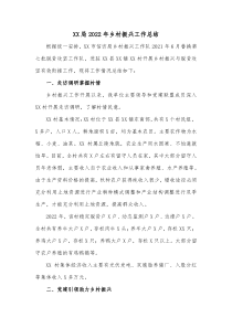 XX局20XX年乡村振兴工作总结