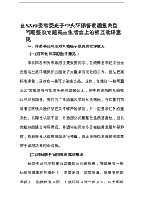 在市委常委班子中央环保督察通报典型问题整改专题民主生活会上的相互批评意见