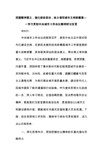 把握精神要义，强化使命担当，奋力谱写城市文明新篇章——学习贯彻中央城市工作会议精神研讨发言