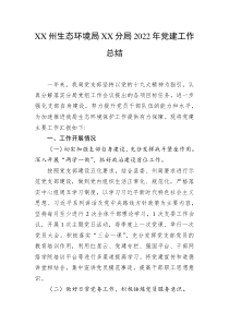 XX州生态环境局XX分局20XX年党建工作总结