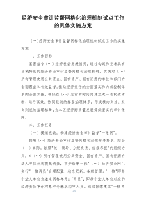 经济安全审计监督网格化治理机制试点工作的具体实施方案