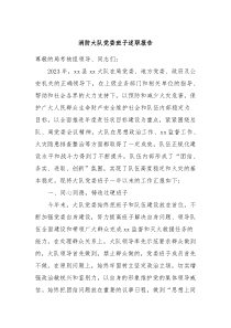 消防大队党委班子述职报告