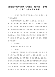 街道关于组织开展“大排查、化矛盾、 护稳定”专项行动具体实施方案