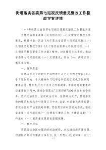 街道落实省委第七巡视反馈意见整改工作整改方案详情