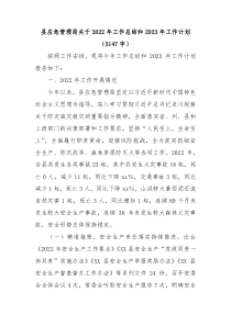 县应急管理局关于2022年工作总结和2023年工作计划