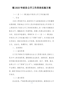 镇2025年政务公开工作具体实施方案