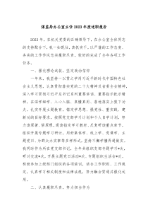 煤监局办公室主任20XX年度述职报告