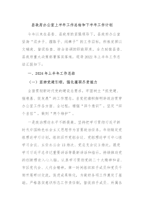 县政府办公室上半年工作总结和下半年工作计划