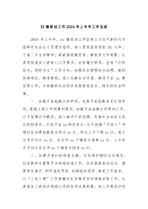 XX镇综治工作2024年上半年工作总结