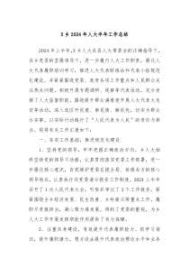 X乡2024年人大半年工作总结