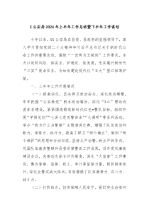 X公安局2024年上半年工作总结暨下半年工作谋划