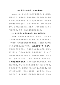 班子成员20XX年个人述职述廉报告