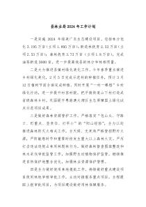 县林业局2024年工作计划
