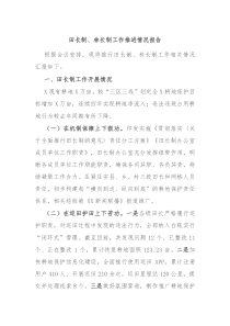 田长制林长制工作推进情况报告