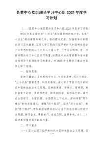 县某中心党组理论学习中心组2025年度学习计划