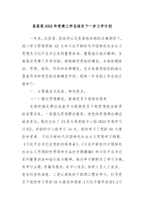 县某局2023年党建工作总结及下一步工作计划