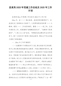 县某局2025年党建工作总结及2025年工作计划