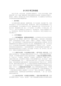 乡20XX年工作总结